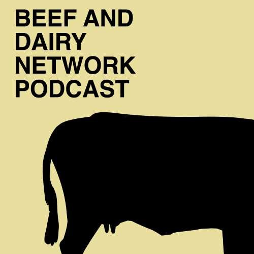 Comedy Podcasts Beef