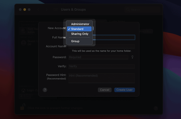 choosing permissions for the new user.