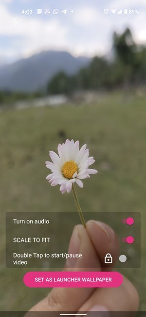 Live Wallpaper Video Wall App