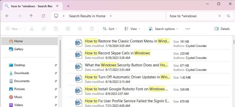 Windows Filters To Search By File Wildcards